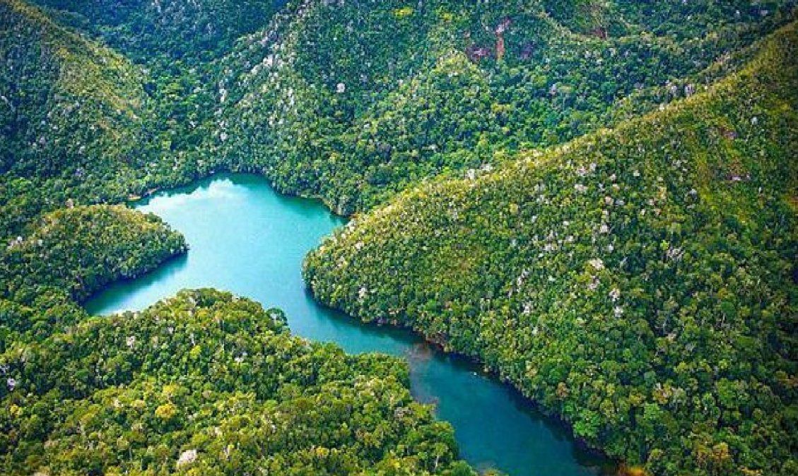Cómo es el plan que busca convertir la mitad del mundo en una reserva natural