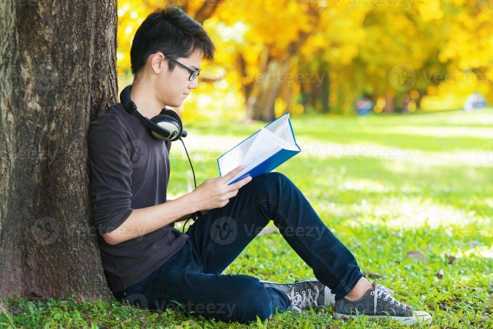 Un buen libro