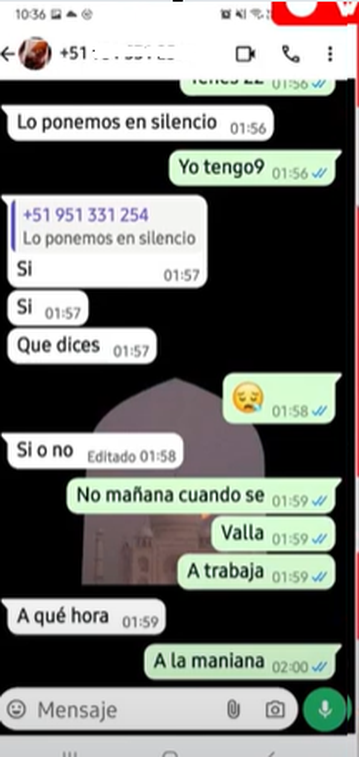 Los chats de la madre del menor haciéndose pasar por su hijo. Los chats de la madre del menor haciéndose pasar por su hijo.