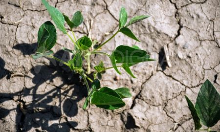 La provincia de Santa Fe recibió del Ministerio de Agricultura, Ganadería y Pesca de la Nación un total de 1.000 millones de pesos. La provincia de Santa Fe recibió del Ministerio de Agricultura, Ganadería y Pesca de la Nación un total de 1.000 millones de pesos.