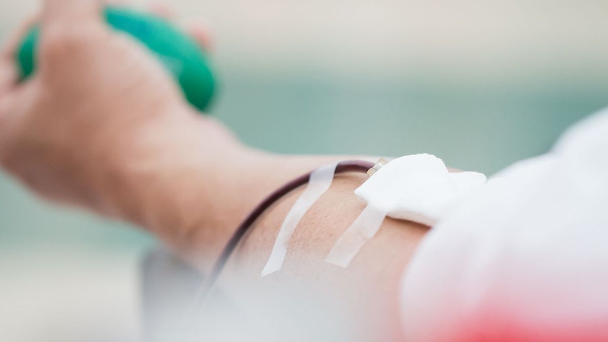 El Hospital Garrahan aceptará la donación de sangre de personas homosexuales