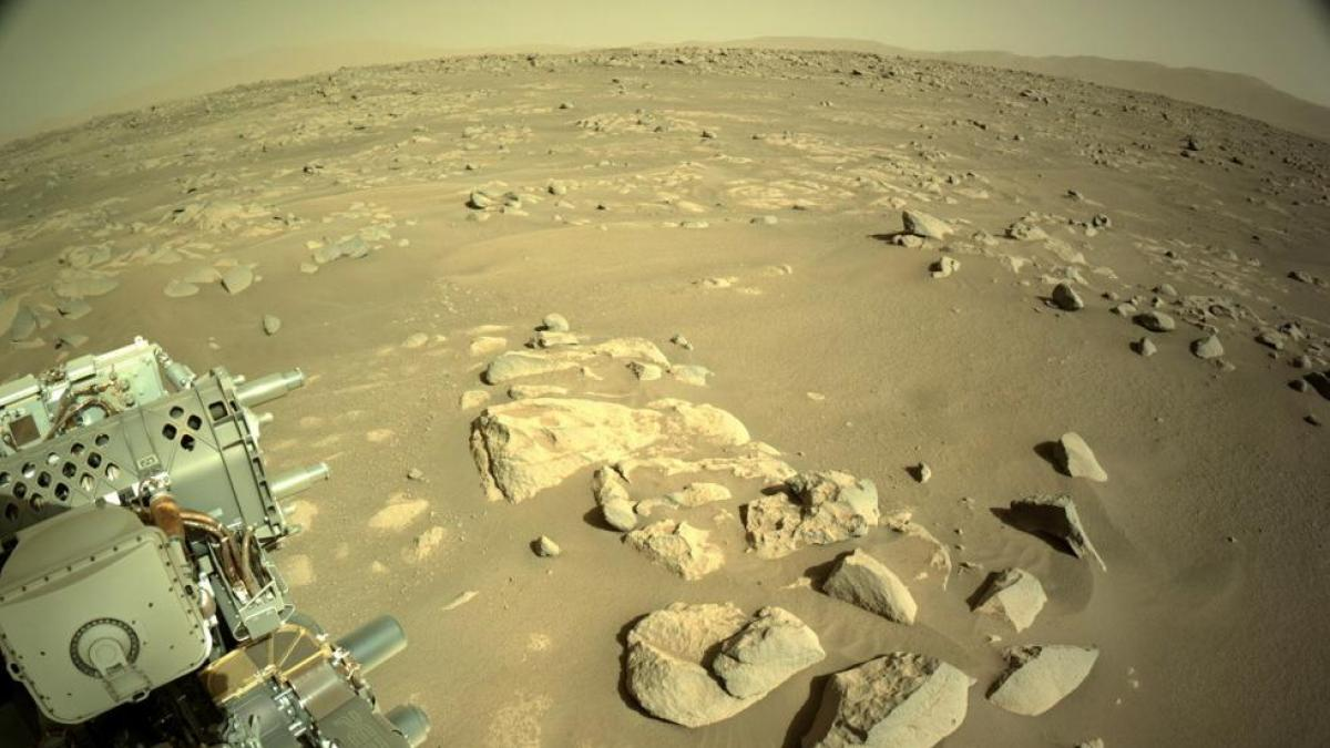 El rover Perseverance de la NASA tiene nuevos hallazgos sobre Marte. El rover Perseverance de la NASA tiene nuevos hallazgos sobre Marte.