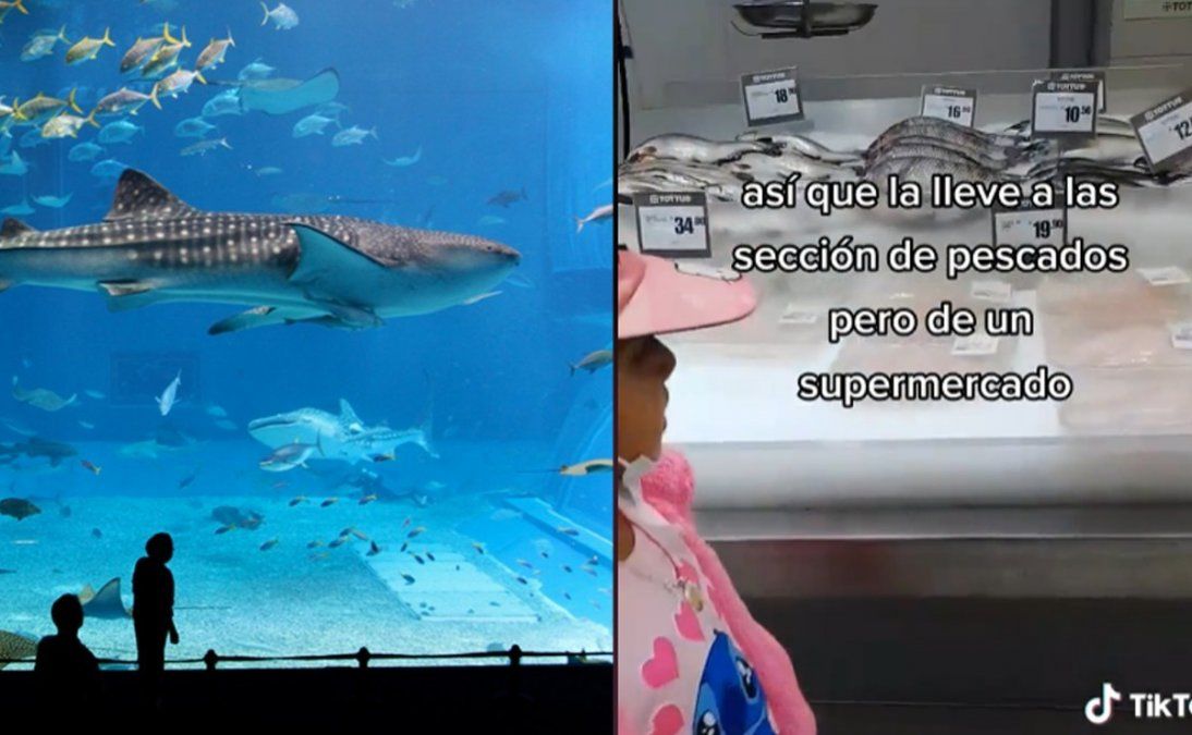 Insolito: pidió ir a un acuario pero su papá la llevó al sector de pescados del supermercado