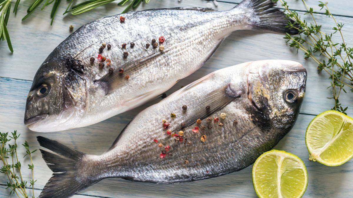 Los pescados son una excelente fuente de proteína de alta calidad y ácidos grasos omega-3. Los pescados son una excelente fuente de proteína de alta calidad y ácidos grasos omega-3.