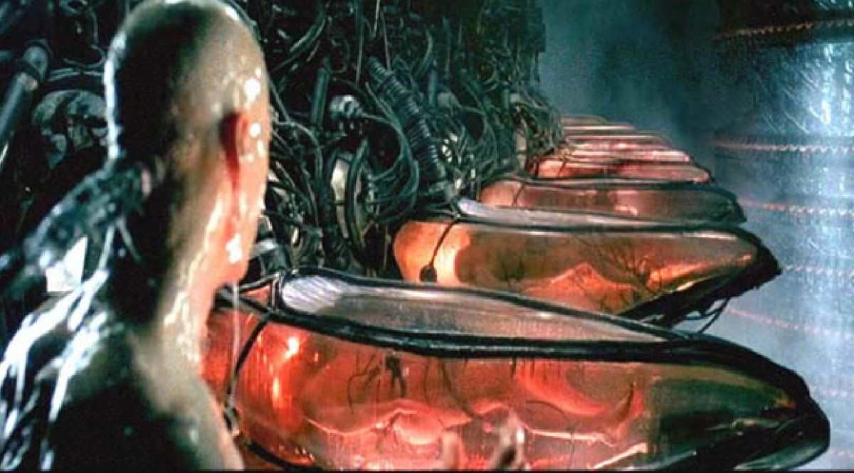 Luego de sacrificarse para salvar la humanidad y ser libre de la inteligencia artificial