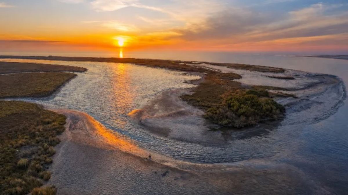 La ausencia de urbanización convierte a este lugar en uno de los paisajes más vírgenes de la costa bonaerense. La ausencia de urbanización convierte a este lugar en uno de los paisajes más vírgenes de la costa bonaerense.