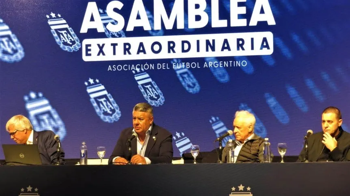 Crecen las chances de que se elimine un nuevo descenso en la Liga Profesional. Crecen las chances de que se elimine un nuevo descenso en la Liga Profesional.