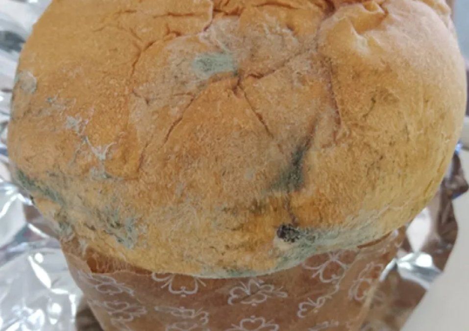 Insolito: repartieron cajas de Navidad con pan dulde con gorgojos en la provincia de Buenos Aires