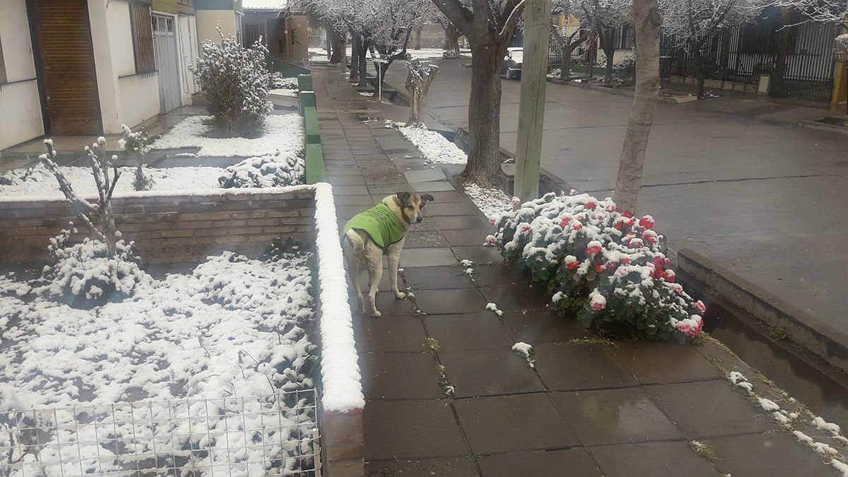 Ac&aacute; en San Rafael