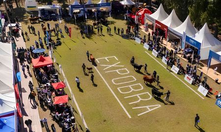 expobra 2026: quienes fueron los grandes campeones y cuanto se pago por los reproductores expobra 2026: quienes fueron los grandes campeones y cuanto se pago por los reproductores