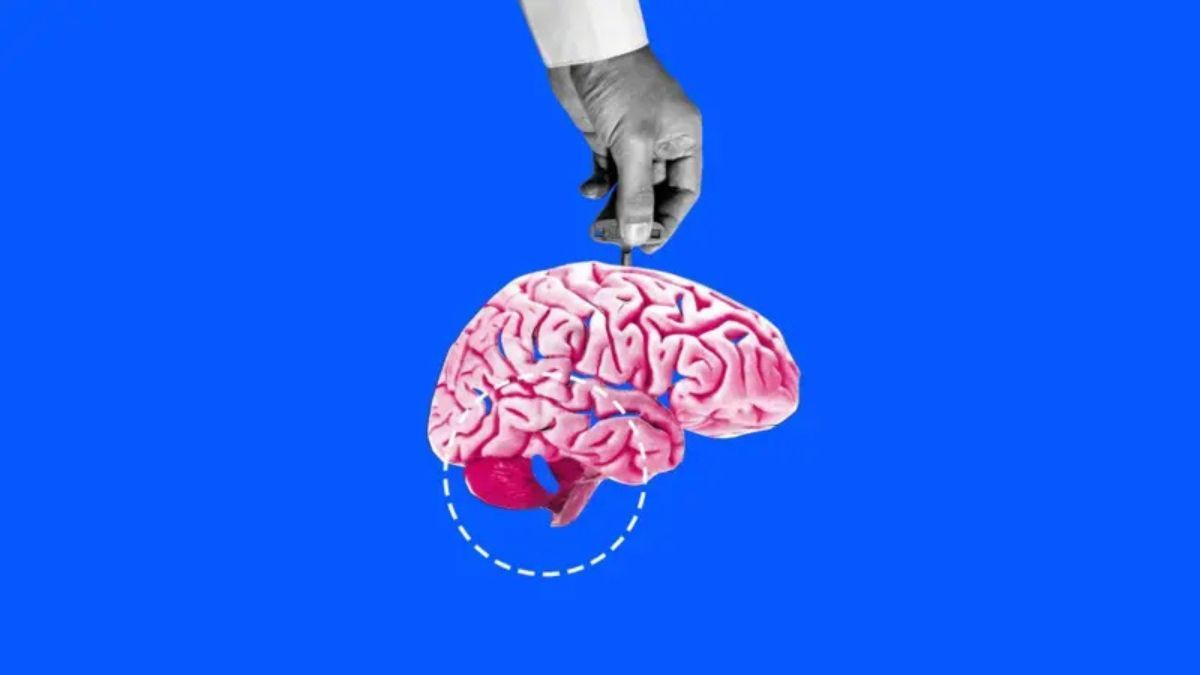Si nos obligamos a concentrarnos cuando estamos cansados, nuestro cerebro puede quedarse atascado en un nivel más alto, lo que dificulta el sueño. Si nos obligamos a concentrarnos cuando estamos cansados, nuestro cerebro puede quedarse atascado en un nivel más alto, lo que dificulta el sueño.