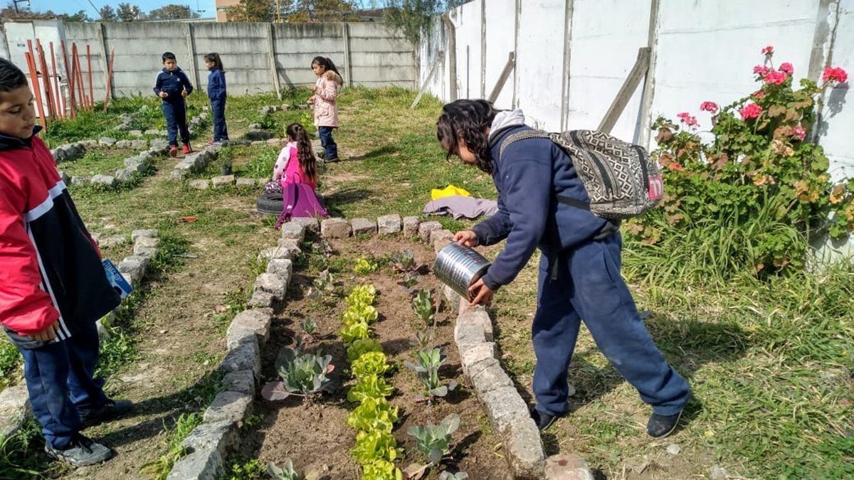 Ofrecen capacitaciones y tecnología para instalar huertas agroecológicas en las escuelas. 