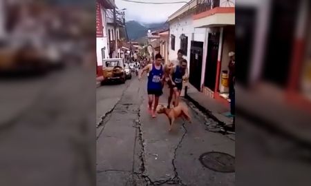 un atleta colombiano patea a un perro en plena carrera y el repudio provoca que pierda a su patrocinador un atleta colombiano patea a un perro en plena carrera y el repudio provoca que pierda a su patrocinador