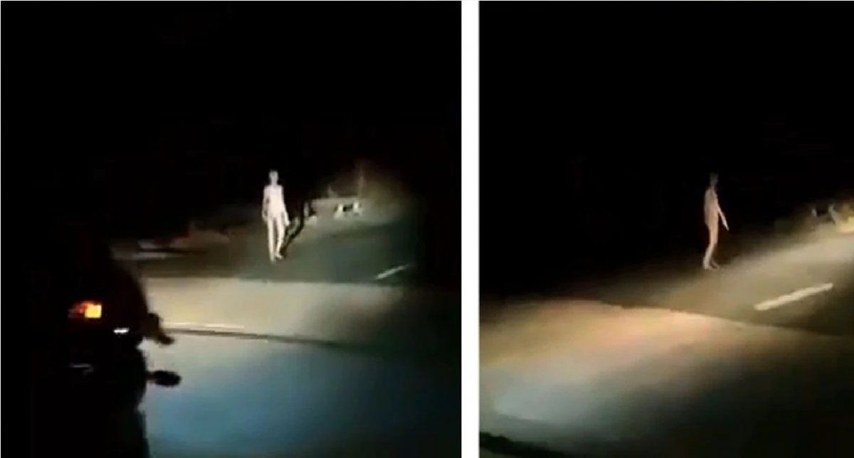 Escalofriantes imágenes de una extraña criatura caminando perdida por la ruta