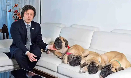 Revelan dónde se encuentran los perros de Javier Milei Revelan dónde se encuentran los perros de Javier Milei