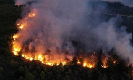 Habló un testigo de los incendios en la Patagonia y contó su triste presente tras perderlo todo. Habló un testigo de los incendios en la Patagonia y contó su triste presente tras perderlo todo.