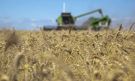 “El esfuerzo del campo no es suficiente sin políticas públicas que impulsen el desarrollo del sector, dijeron desde la entidad.