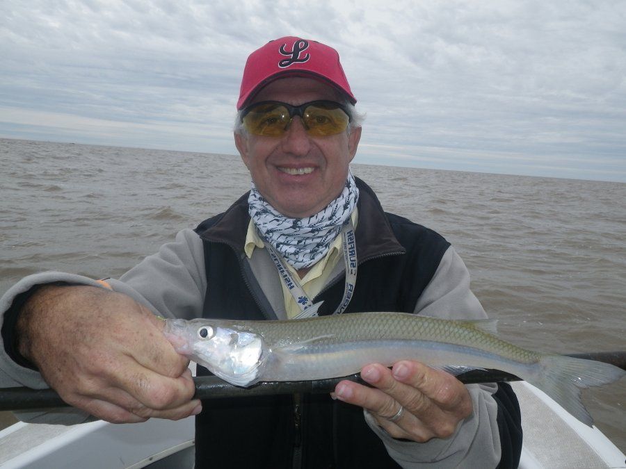 Berisso y sus pejerreyes