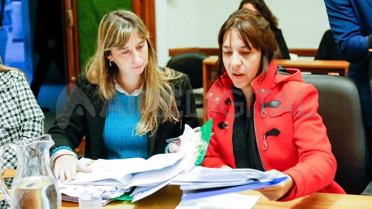 La Fiscalía y la querella sostuvieron que Pereyra abusó de M. de manera reiterada, aproximadamente desde 1998 cuando la joven tenía 6 años de edad, hasta la adolescencia. La Fiscalía y la querella sostuvieron que Pereyra abusó de M. de manera reiterada, aproximadamente desde 1998 cuando la joven tenía 6 años de edad, hasta la adolescencia.