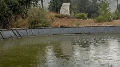 El agua que da esperanza: primeras lluvias en la comarca andina golpeada por los incendios