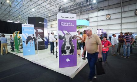 Weizur dijo presente en TodoLáctea 2025. Weizur dijo presente en TodoLáctea 2025.