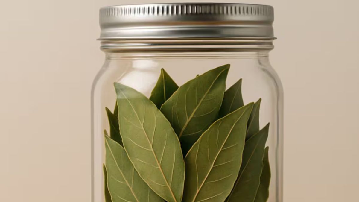 Dónde hay que poner un frasco con laurel en octubre.