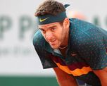 juan martin del potro se bajo del partido exhibicion ante roger federer juan martin del potro se bajo del partido exhibicion ante roger federer
