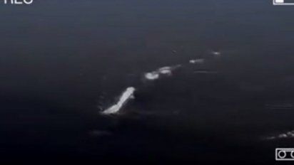 VIDEO: ¿Encontraron un monstruo como el del lago Ness?