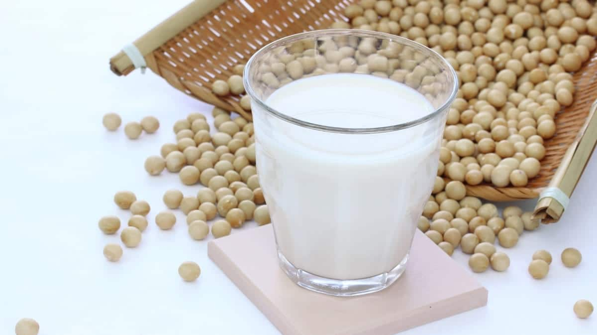 El consumo de leche vegetal aporta grandes beneficios para todo nuestro organismo en comparación de la leche de origen animal.