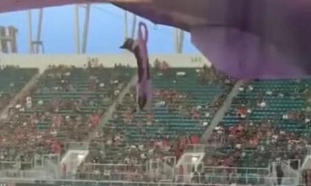 Video viral: hinchas salvaron a un gato luego de que este se cayera del techo de un estadio. Video viral: hinchas salvaron a un gato luego de que este se cayera del techo de un estadio.