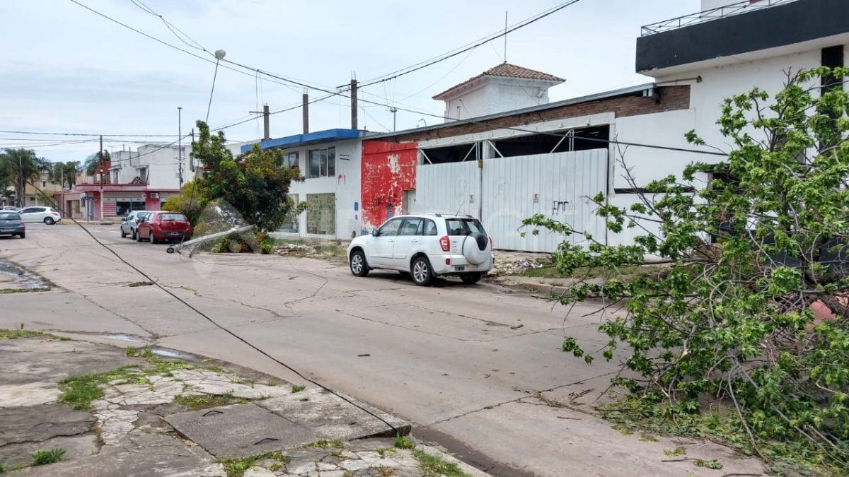 El árbol y el poste de luz cortaron el tránsito en el lugar tras caer por el fuerte viento.