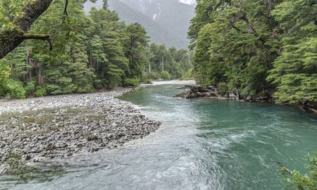 cientificos alertan por los efectos del cambio climatico sobre el bosque patagonico cientificos alertan por los efectos del cambio climatico sobre el bosque patagonico