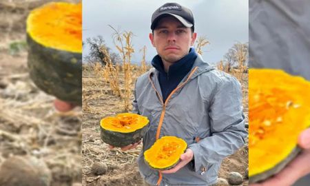 Pedro Manzano, productor del Valle de Uco, se hizo viral en TikTok al mostrar la gran disparidad entre los precios que recibe por sus productos Pedro Manzano, productor del Valle de Uco, se hizo viral en TikTok al mostrar la gran disparidad entre los precios que recibe por sus productos