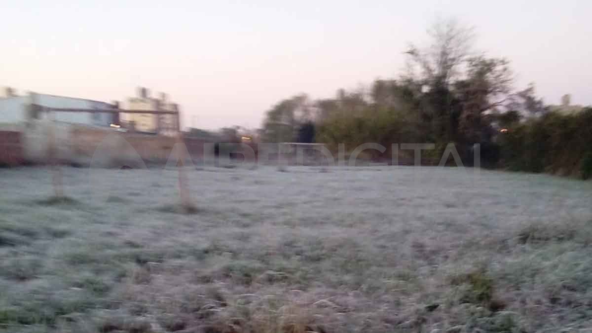 La helada de este martes en barrio Los Ángeles.