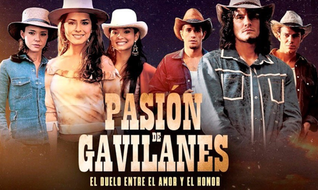 Pasi&oacute;n de gavilanes