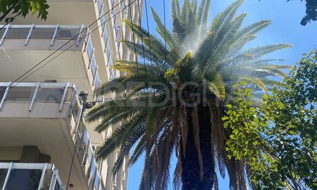 El hecho ocurrió este sábado alrededor de las 13 en inmediaciones de calle San Martín 3100. El hecho ocurrió este sábado alrededor de las 13 en inmediaciones de calle San Martín 3100.
