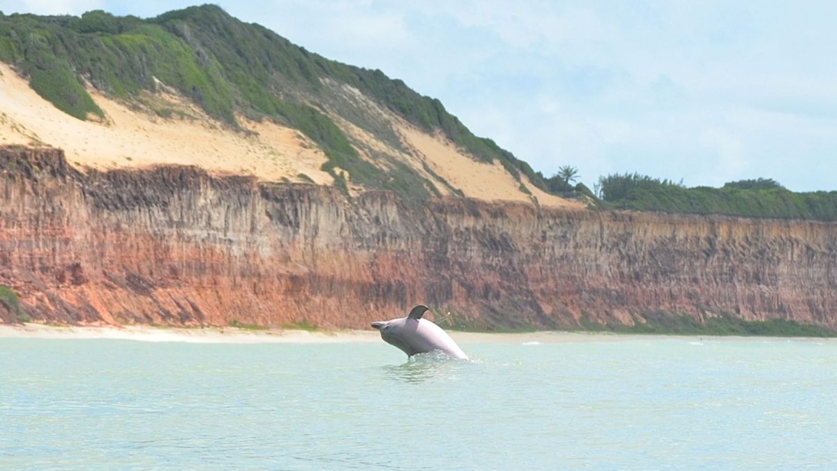 Desde el Chapad&atilde;o, los visitantes tienen una vista privilegiada de la Praia do Amor y la silueta costera que define la identidad de Rio Grande do Norte.
