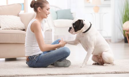 Mejorar los hábitos alimentarios de los animales y mantenerse activos jugando ayudará para prevenir el sobrepeso Mejorar los hábitos alimentarios de los animales y mantenerse activos jugando ayudará para prevenir el sobrepeso