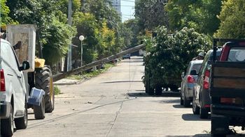 La caída de dos postes de telefonía preocupó a los vecinos de barrio Centenario este miércoles por la mañana. La caída de dos postes de telefonía preocupó a los vecinos de barrio Centenario este miércoles por la mañana.