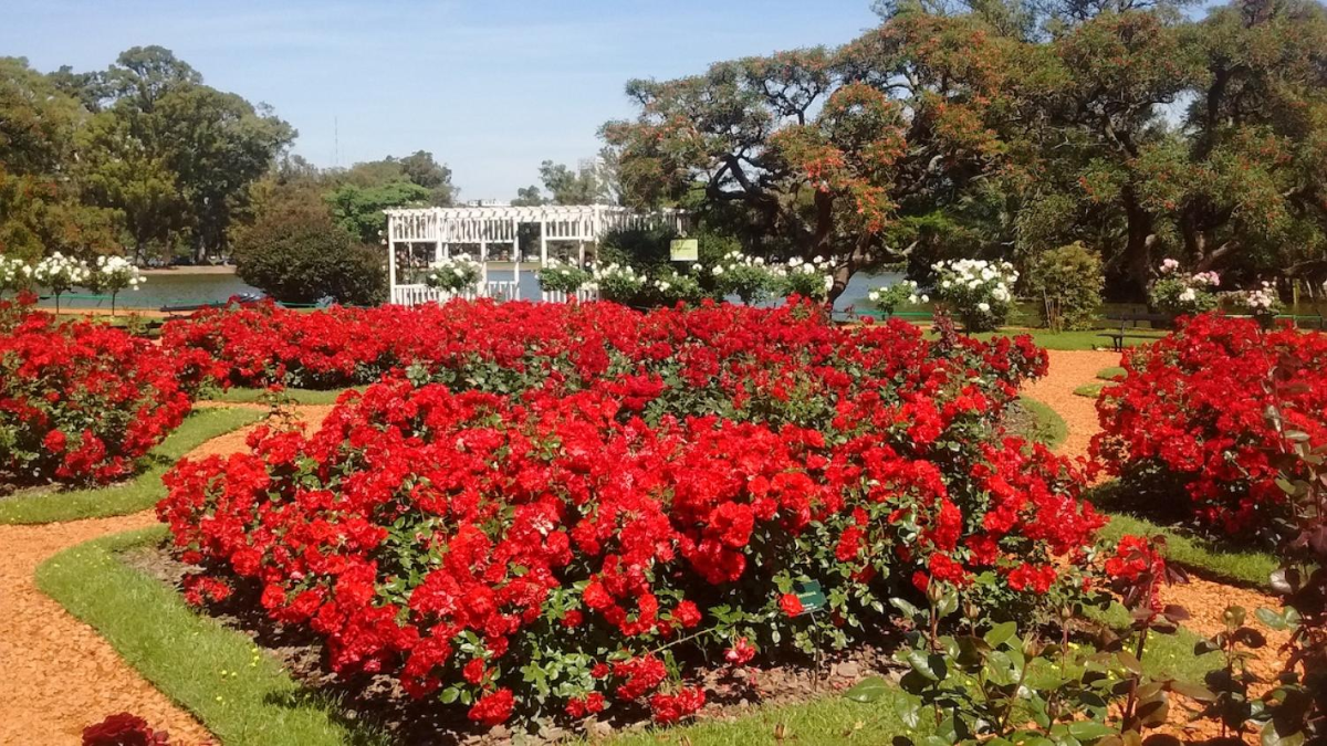 Dentro del barrio de Palermo se encuentra el Rosedal, un jardín repleto de rosas. Dentro del barrio de Palermo se encuentra el Rosedal, un jardín repleto de rosas.