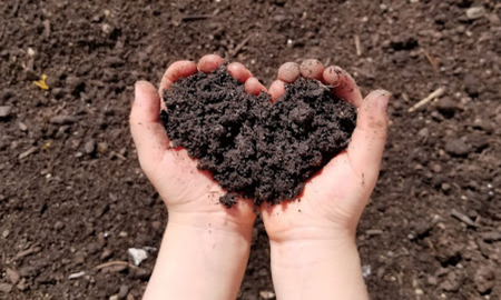 Qué es el compost. Qué es el compost.