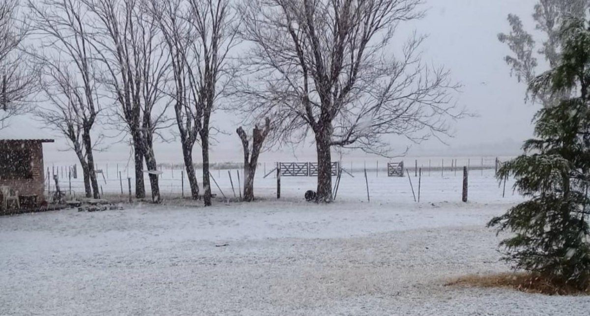 Fuertes nevadas en Chubut.