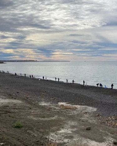 Los especialistas recomiendan no dañar a estos ejemplares, ya que su presencia en la costa es puramente accidental y son piezas clave para la limpieza biológica del océano. Los especialistas recomiendan no dañar a estos ejemplares, ya que su presencia en la costa es puramente accidental y son piezas clave para la limpieza biológica del océano.