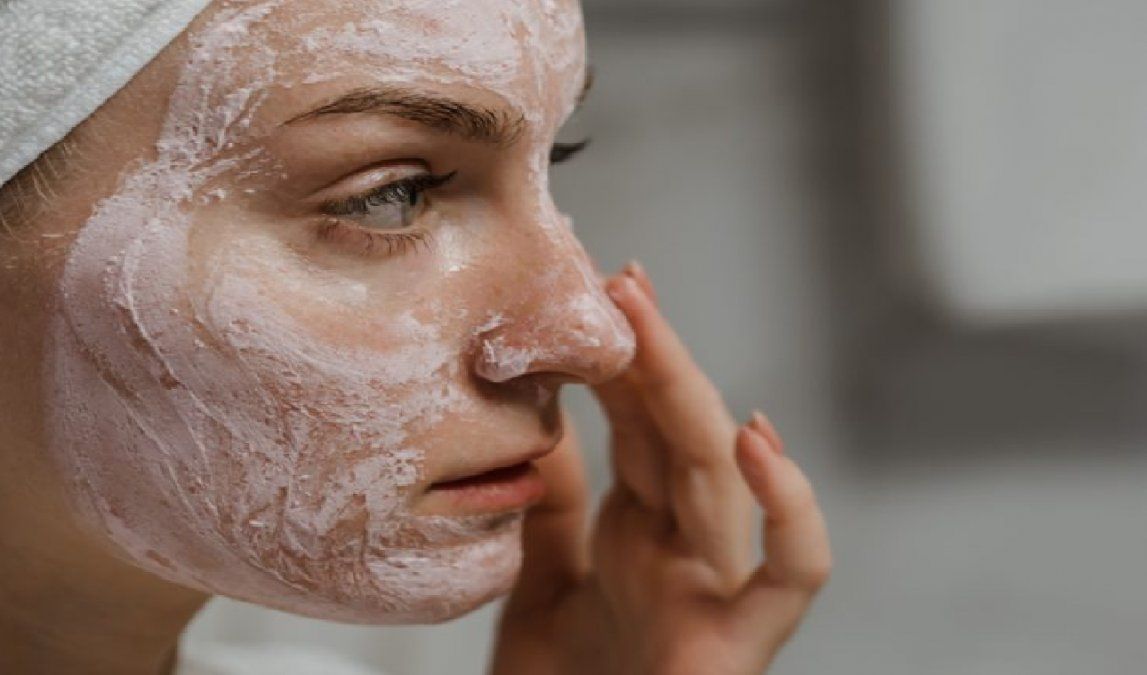 5 curiosidades que tenés que saber sobre la sansevieria