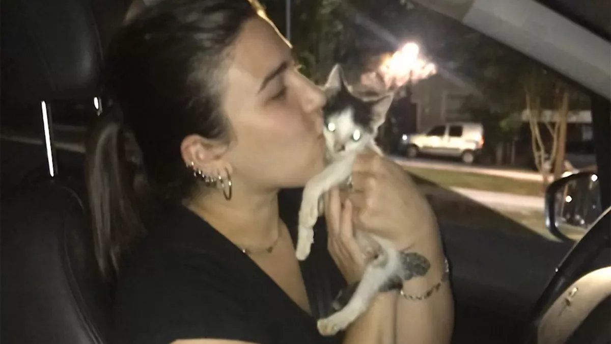 No encontraba a su gato y lo buscó por toda la casa: lo encontró en un lugar totalmente insólito