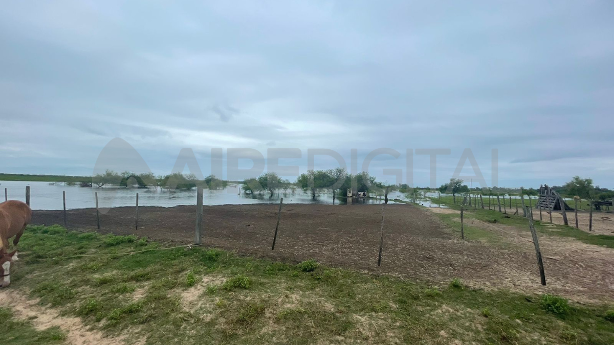 El móvil de AIRE recorrió la zona de Rincón Potrero, a la vera del Puente de Hierro en Arroyo Leyes. El móvil de AIRE recorrió la zona de Rincón Potrero, a la vera del Puente de Hierro en Arroyo Leyes.