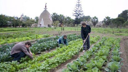 Por qué es importante hacer comunidad para lograr mayor sostenibilidad