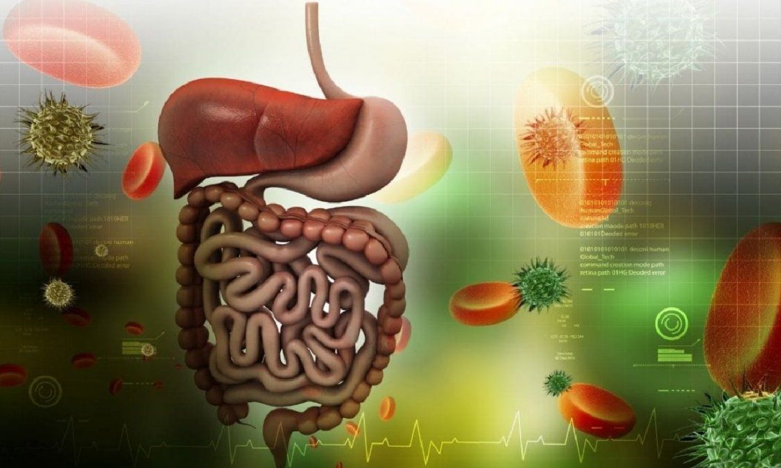El alimento perfecto para proteger la flora de nuestro sistema digestivo