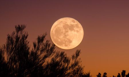 Luna del Lobo del 13 de enero de 2025: todo lo que debes saber de este acontecimiento astrológico. Luna del Lobo del 13 de enero de 2025: todo lo que debes saber de este acontecimiento astrológico.