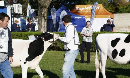 todolactea 2025: pullaro inaugura la mega muestra lechera en santa fe todolactea 2025: pullaro inaugura la mega muestra lechera en santa fe